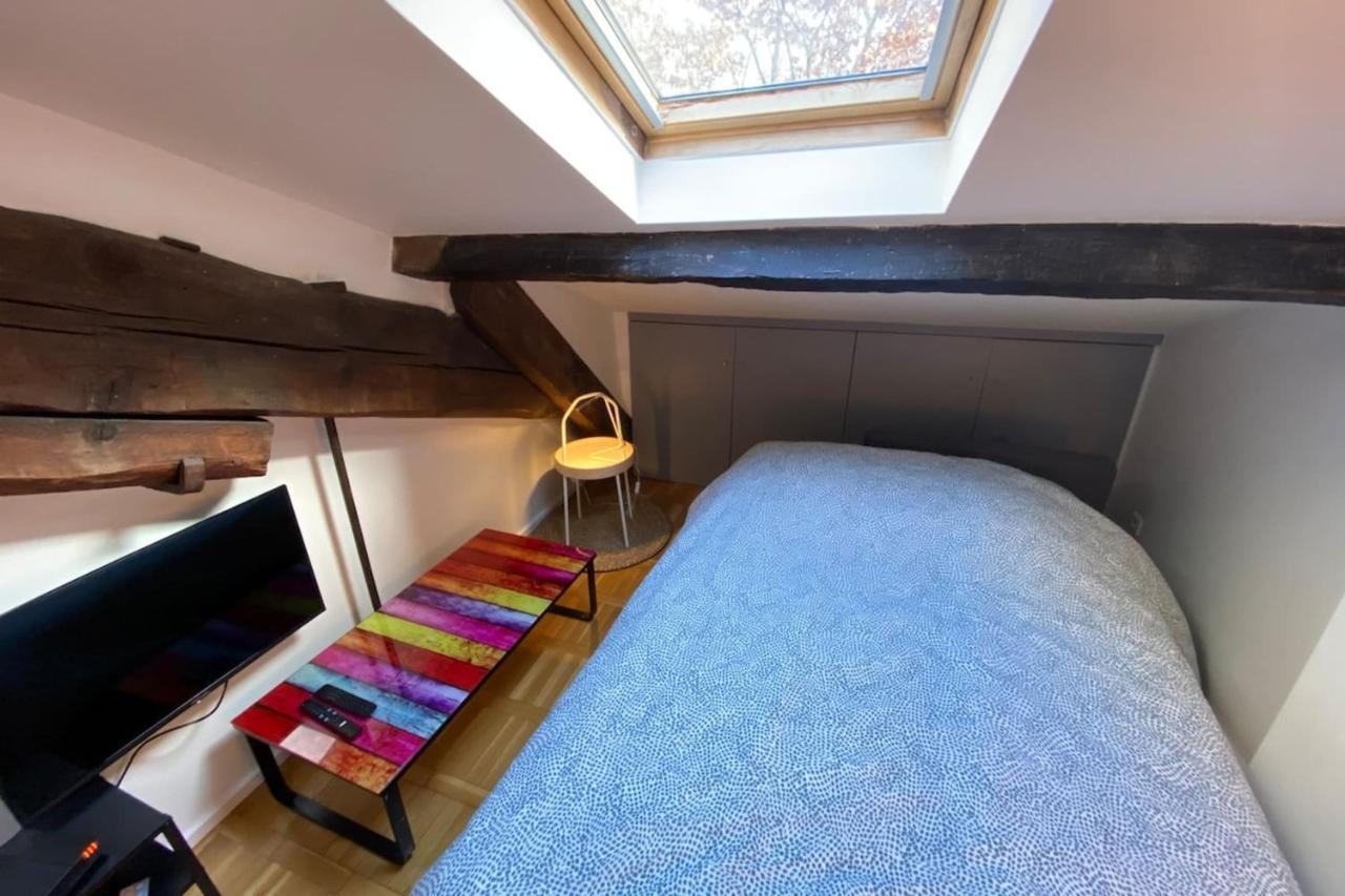 Le Petit Arloing-Studio Quais De Saone Vaise Lyon Eksteriør bilde